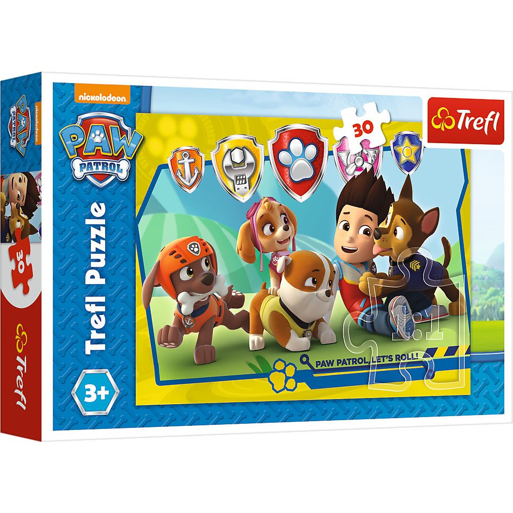 PAW PATROL 30 Pcs Ryder and Friends - The Model Shop