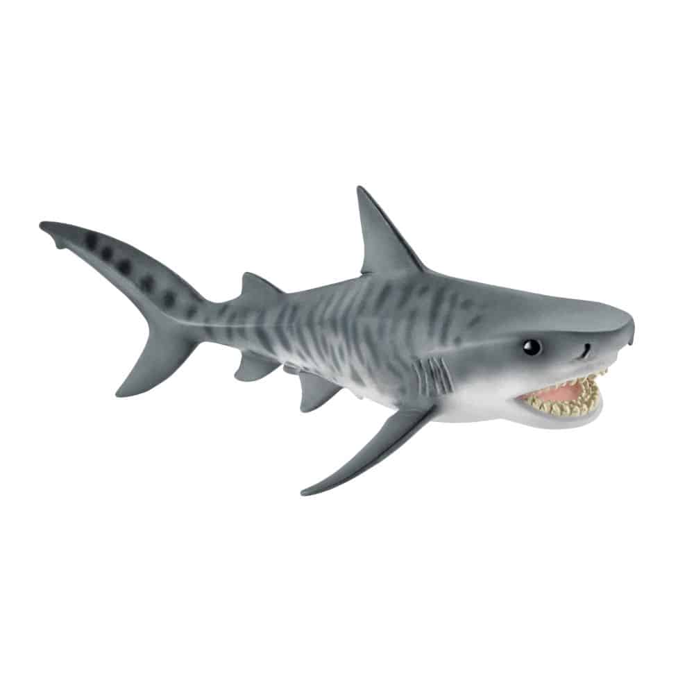 TIGER SHARK - The Model Shop