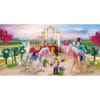 Playmobil Princess Magic - 71801 - PLAYMOBIL Prinses met Paard - LET OP dit product wordt niet meer geproduceerd door Playmobil en is NU nog beperkt
