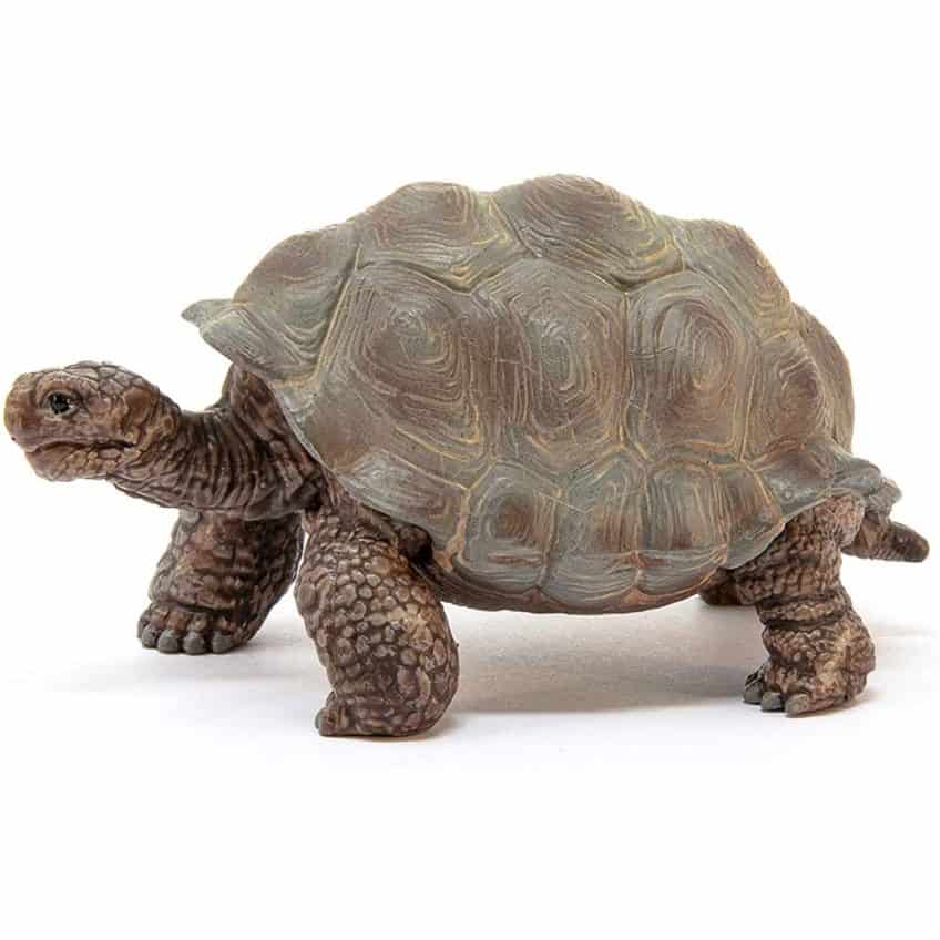 Schleich - Wild Life Giant Tortoise - The Model Shop