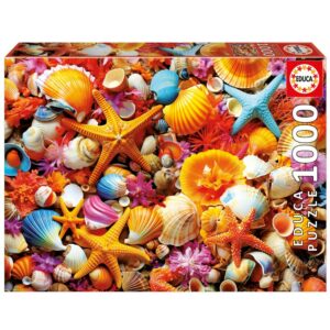 1000 Shell Collage