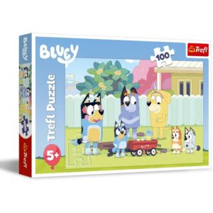 100pcs Bluey