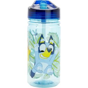 Bluey Kids Water Bottle 475ml