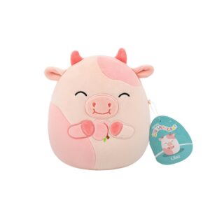Squishmallows Plush 19cm Assorted