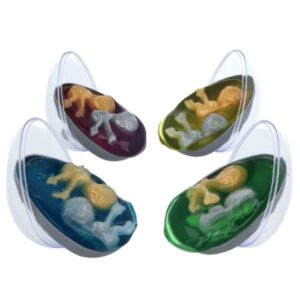 Alien Egg With Twin Babies Assorted