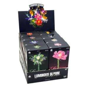 Luminous Bloom Assorted