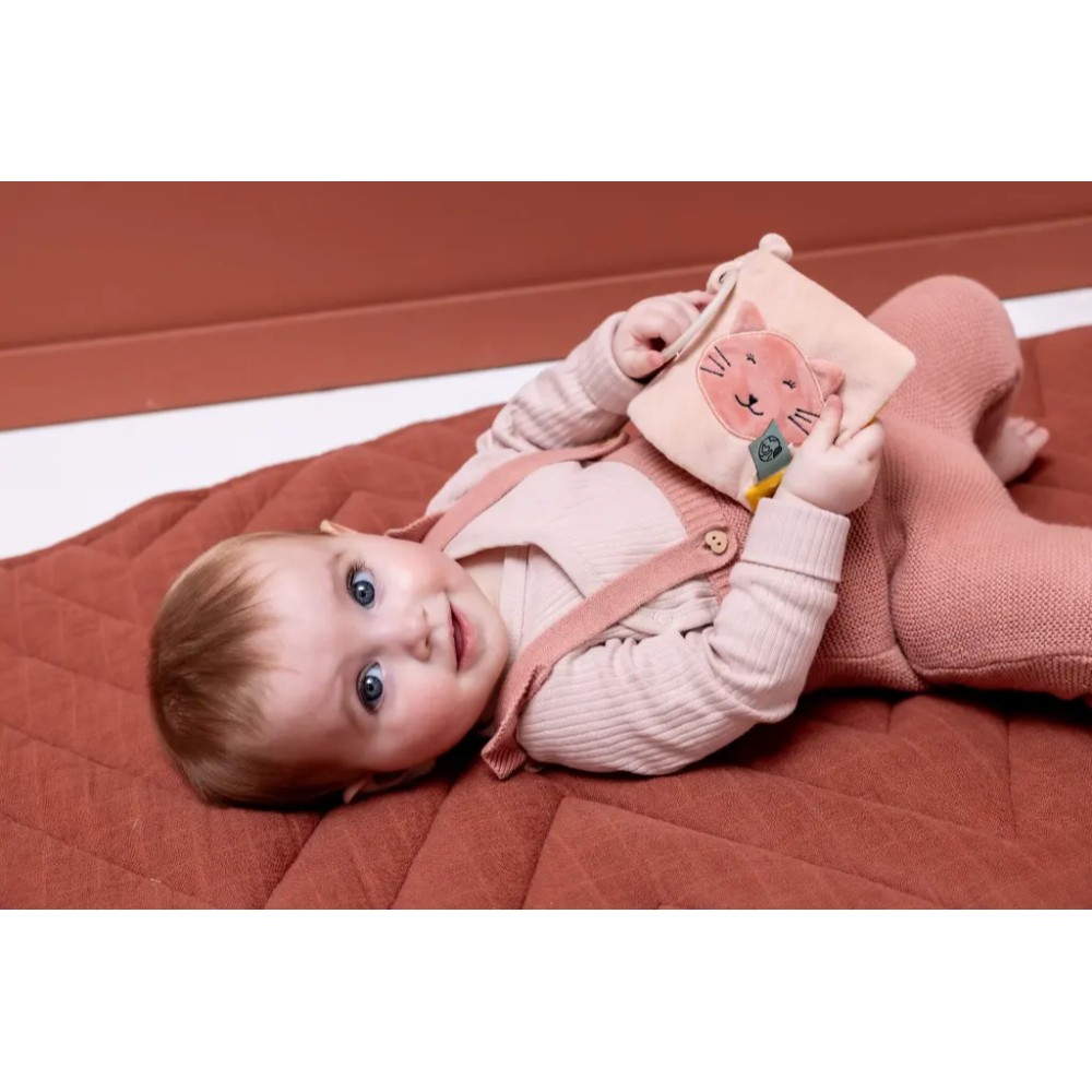Trixie Sensory Pram Book Ms Cat - Image 4