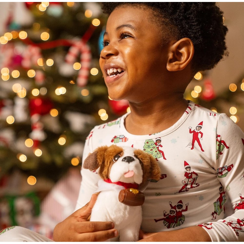 ORIGINAL ELF ON THE SHELF - A St. Bernard Tradition - Image 5